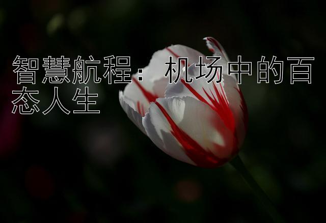 智慧航程：机场中的百态人生