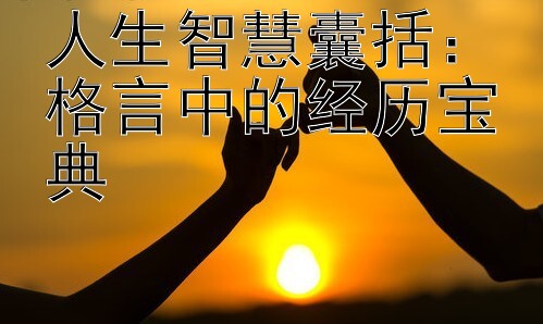 人生智慧囊括：格言中的经历宝典