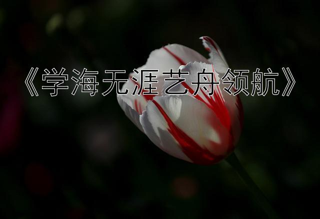 《学海无涯艺舟领航》