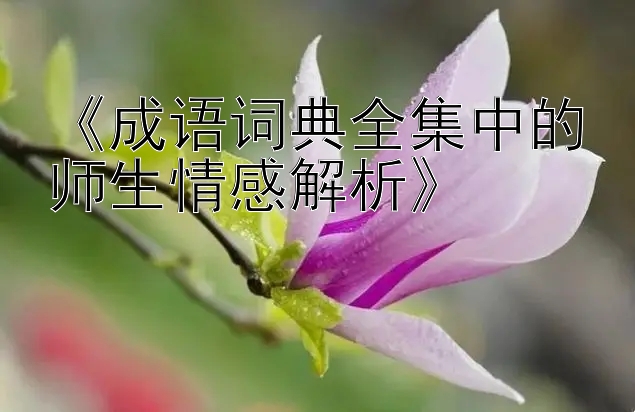 《成语词典全集中的师生情感解析》