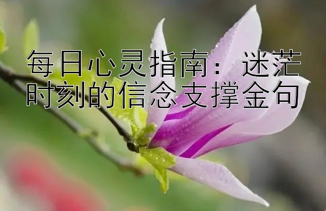 每日心灵指南：迷茫时刻的信念支撑金句